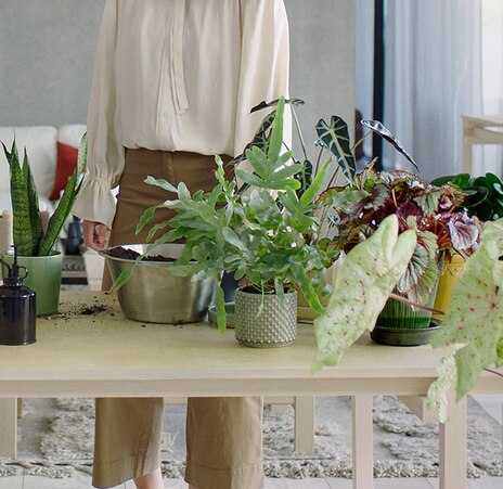 air purifier banner