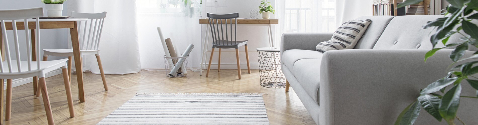 Wet & Dry Vacuum Cleaners Electrolux